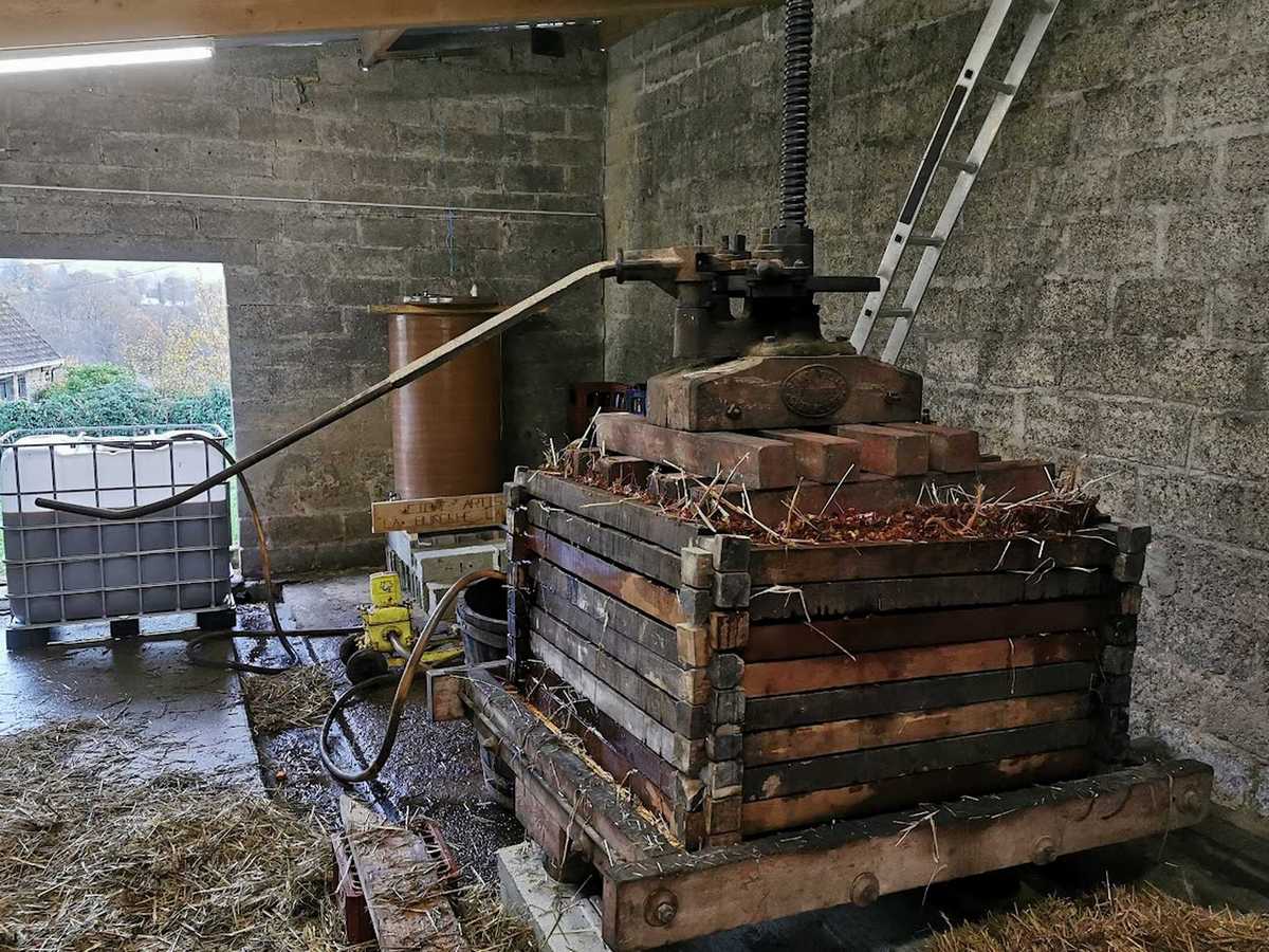 Photo du pressoir à la fin de la pilaison